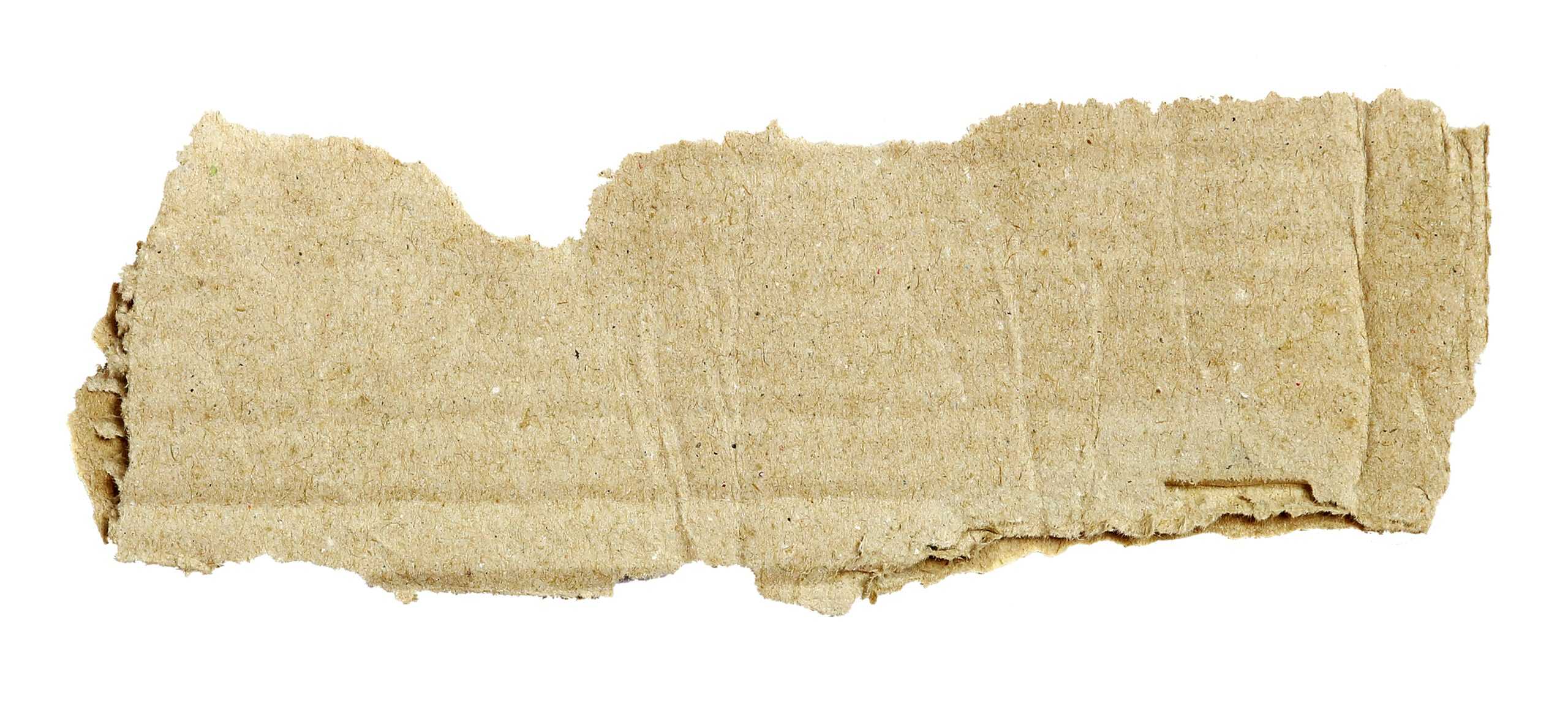 Ancient Bible manuscript with faded ink on parchment, offering historical proof that answers the question: is the Bible reliable?
